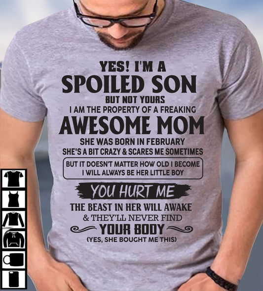 Hey February Queen – Awesome Mom Born In February – Special Gift For Your Son – TOP01 (SKUS10-45-02)